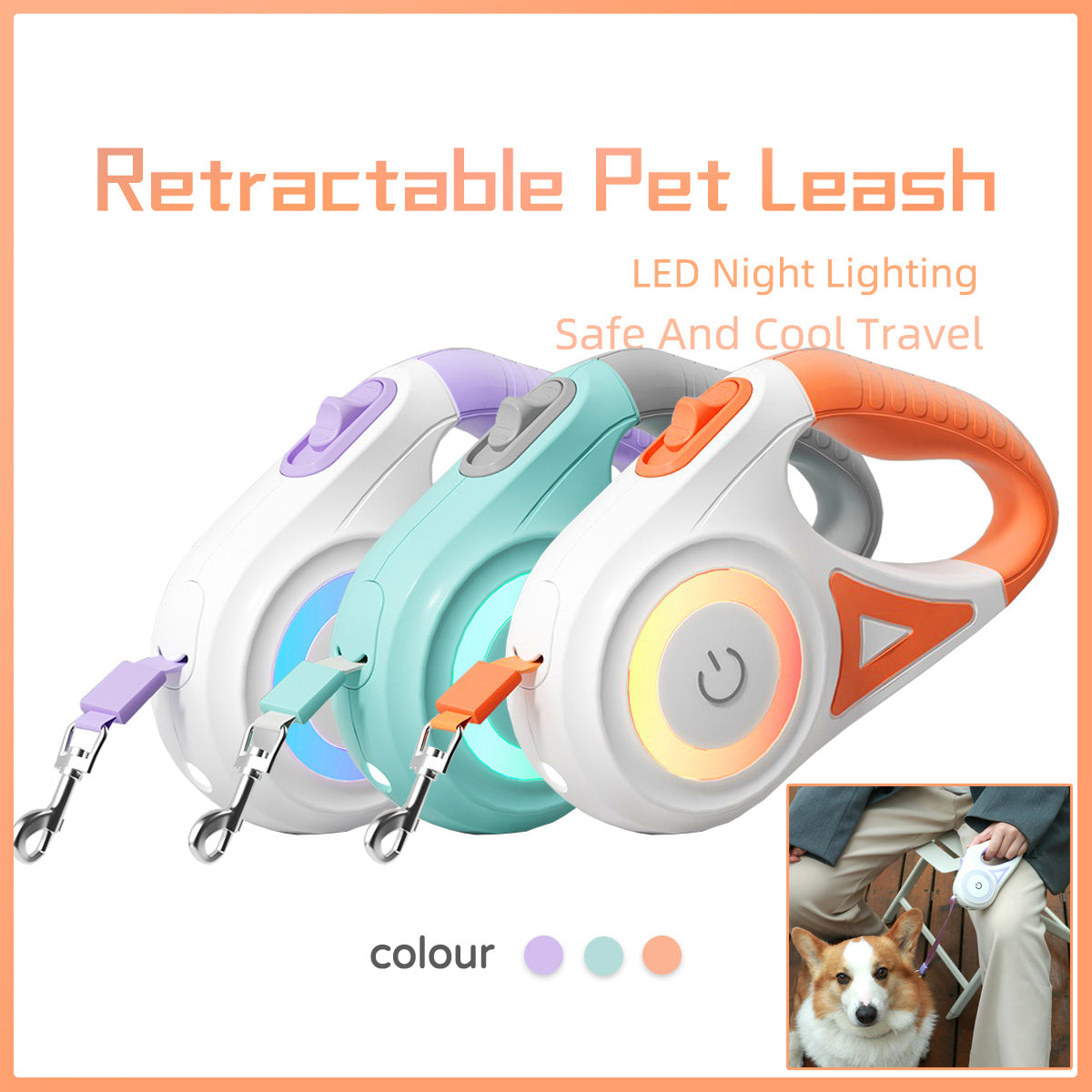 Retractable Leash And Dog Collar