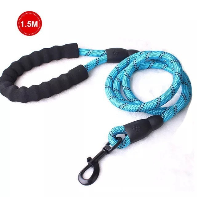 Dog Luminous Leash Chain