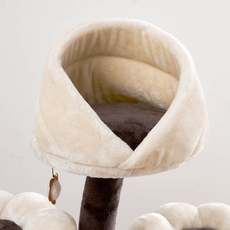 Cat's Grasping Board Integrated Climbing Frame